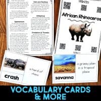 african rhinoceros vocabulary cards