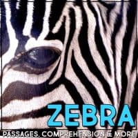 zebra cover