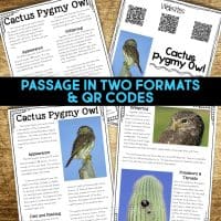 cactus pygmy owl reading passages