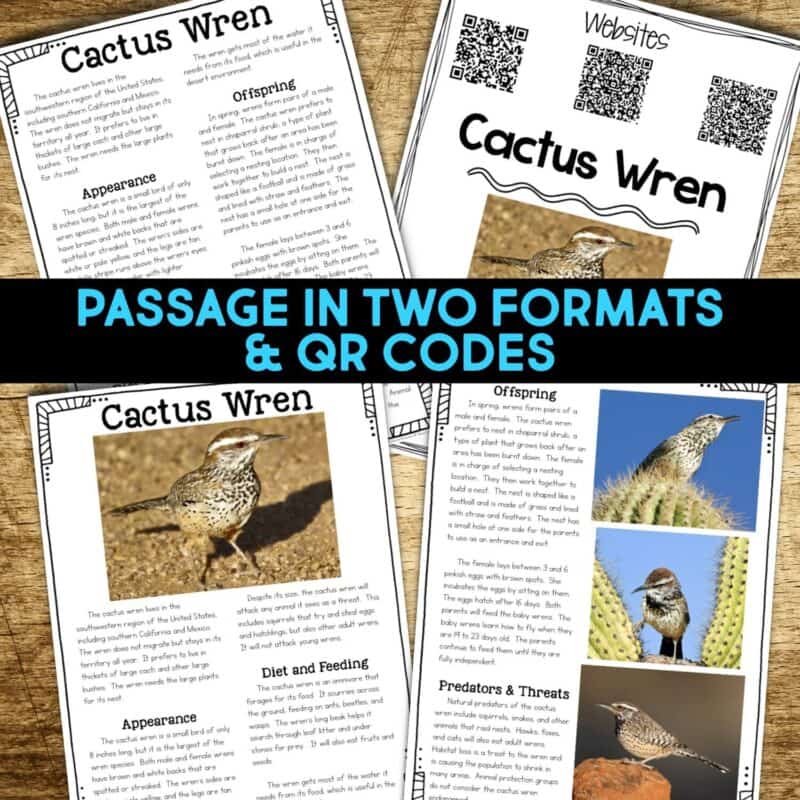 Cactus Wren2 cactus wren reading passages