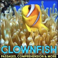 clownfish cover