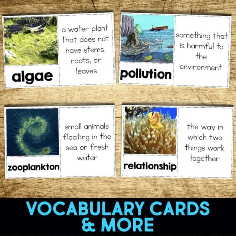 Clownfish4-min clownfish vocabulary cards