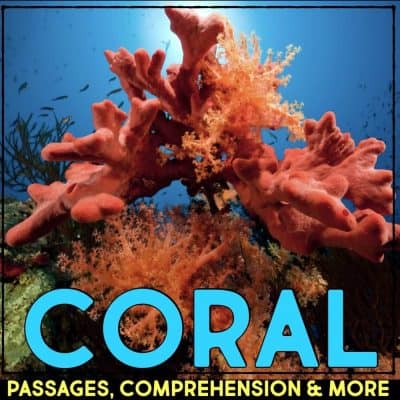coral cover