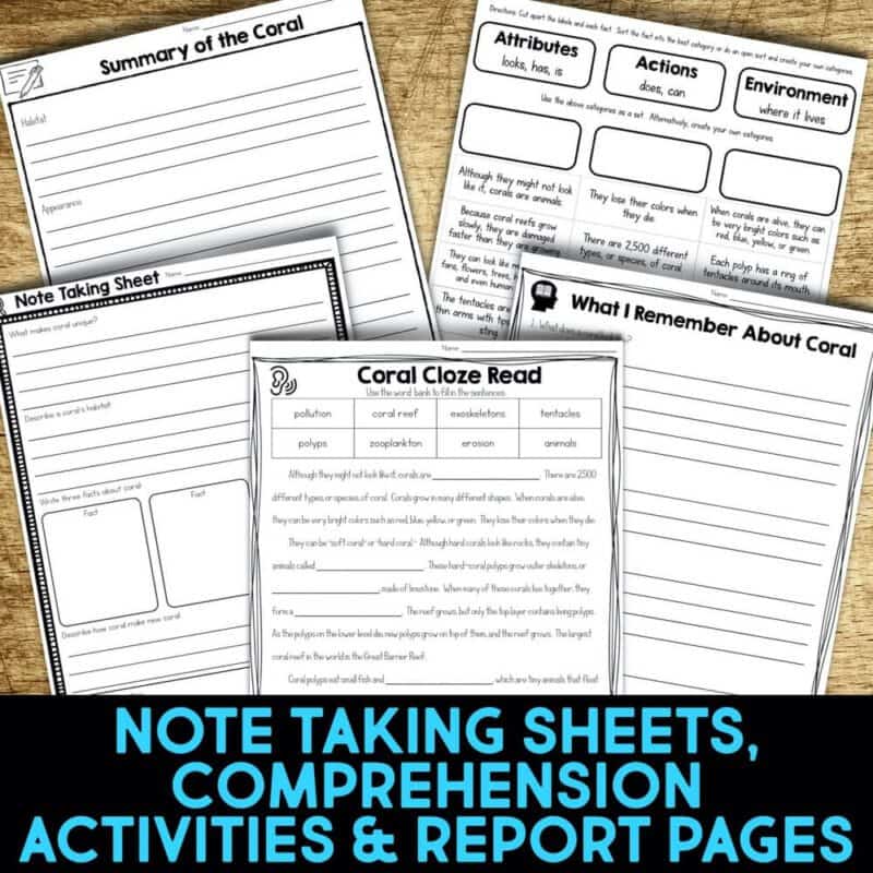 Coral3-min coral worksheets