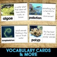 coral vocabulaly.