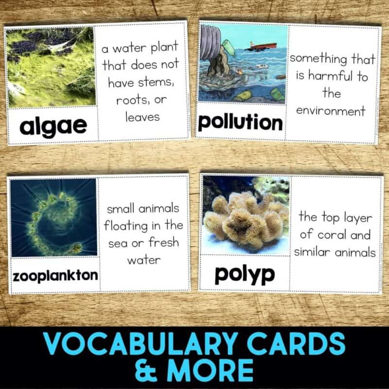 Coral4-min coral vocabulaly.