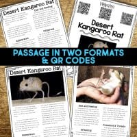 desert kangaroo rat reading passages