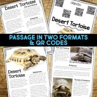 desert tortoise reading passages