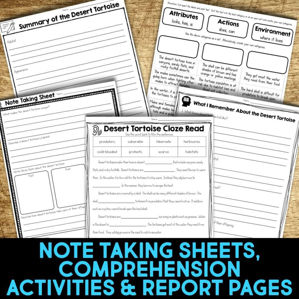 15 Amazing Desert Animals - Informational Reading and Writing Activities for Kids 4 desert tortoise worksheets
