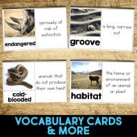 desert tortoise vocabulary cards