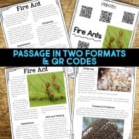 fire ant reading passages
