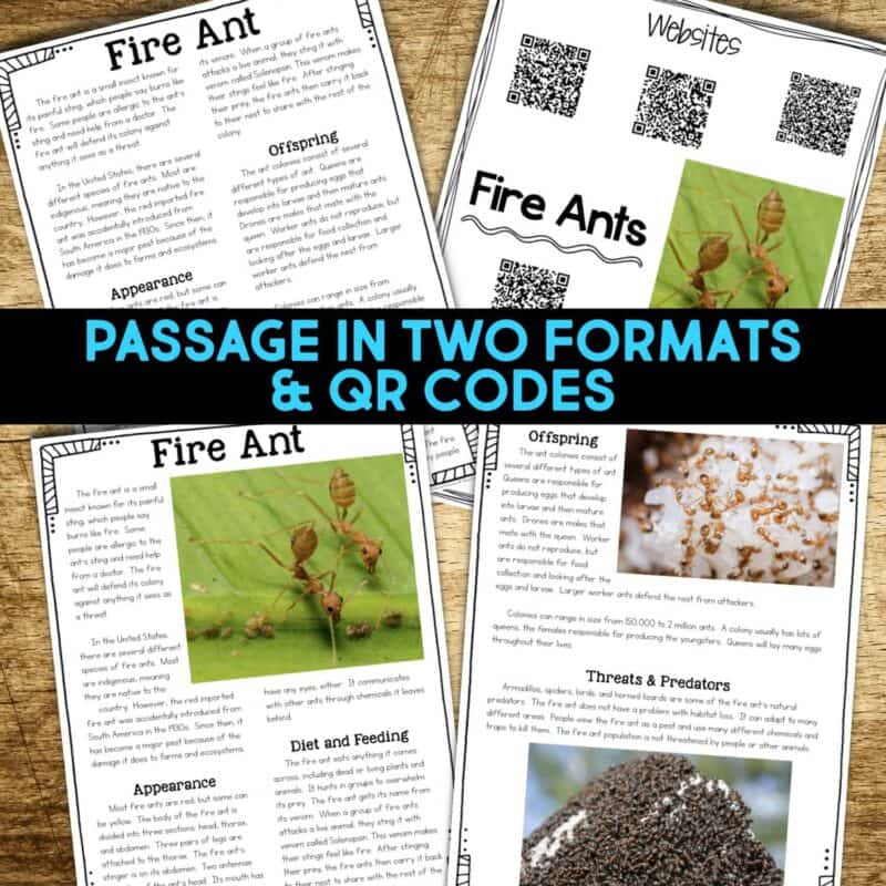 Fire Ants2 fire ant reading passages
