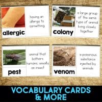 fire ant vocabulary cards
