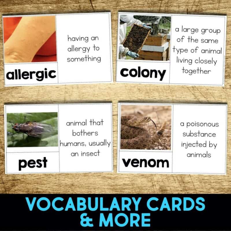 Fire Ants4 fire ant vocabulary cards