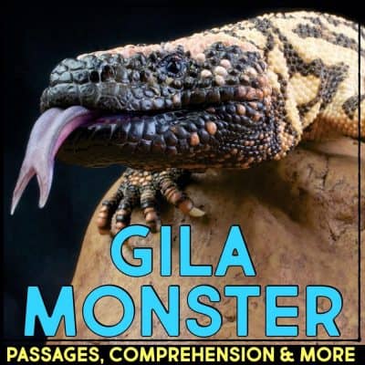 gila monster cover