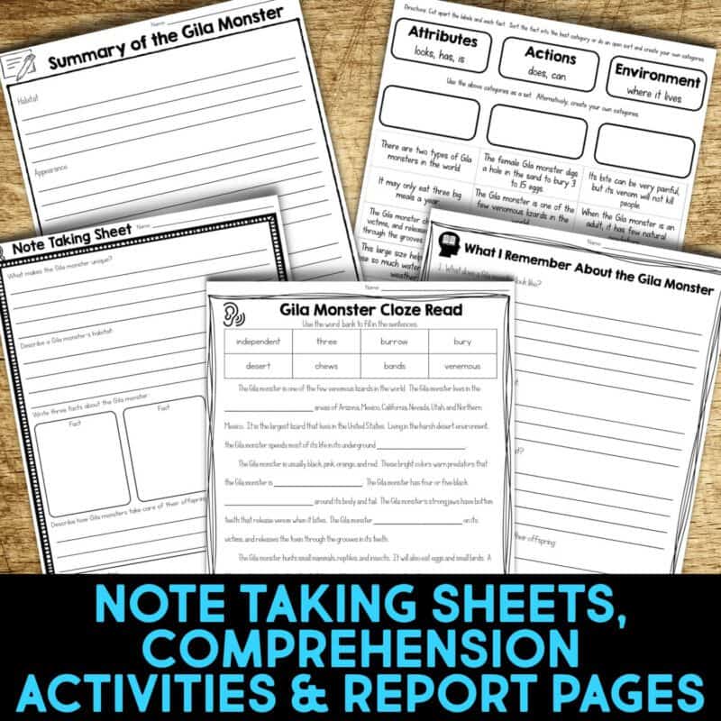 Gila Monster 3 gila monster worksheets