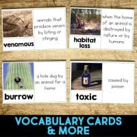 gila monster vocabulary cards