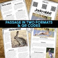 jackrabbit reading passages