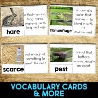 jackrabbit vocabulary cards