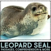 leopard seal cover