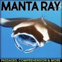 manta ray cover.