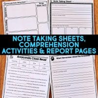 anaconda worksheets