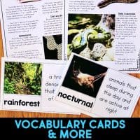 anaconda vocabulary cards