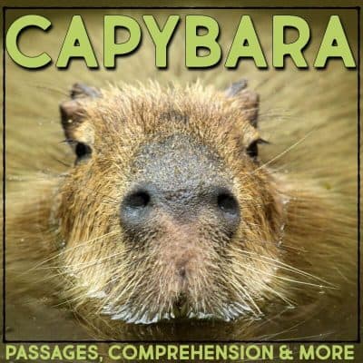 capybara cover