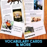 capybara vocabulary cards