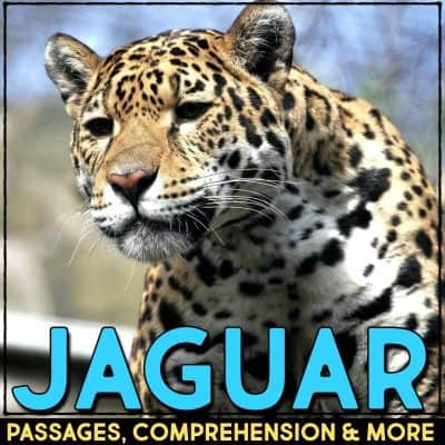 jaguar cover