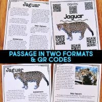 jaguar reading passages
