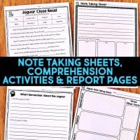 jaguar worksheets