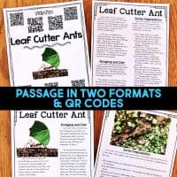 leaf cutter ant reading passages