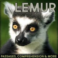 lemur cover