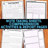 lemur worksheets
