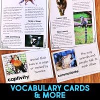 lemur vocabulary cards