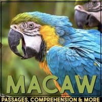macaw cover