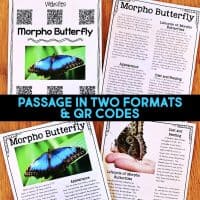 morpho butterfly reading passages