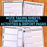morpho butterfly worksheets