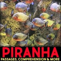 piranha cover