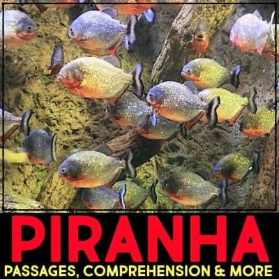 piranha cover