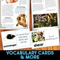 Piranha pages.