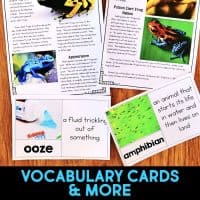 Poison Dart Frog pages.