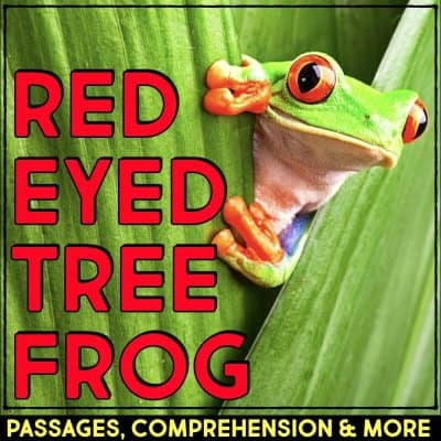 Red Eyed Tree Frog cover.