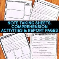 Red Eyed Tree Frog pages.