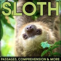 sloth cover.