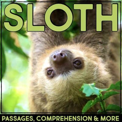 sloth cover.