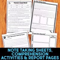toucan pages.