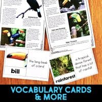 rainforest pages.