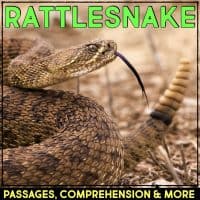 rattlesnake cover